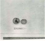 Click for 1 image(s) for this accession. FRUIT